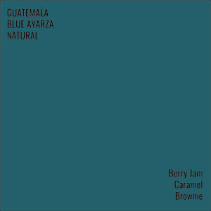 Guatemala Blue Ayarza Natural